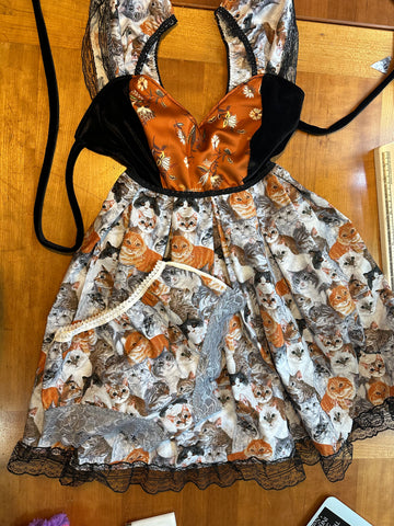 Dress n Panty Set • Cat Dress w Matching Panties
